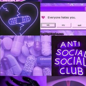 Meet your Posher, Gracie